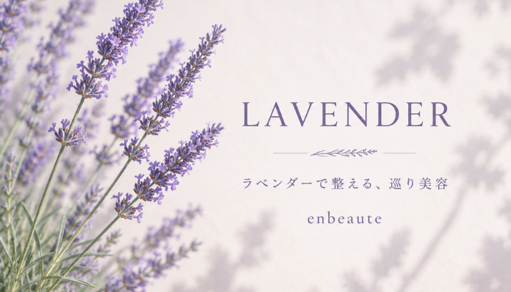 ラベンダーイメージ画像