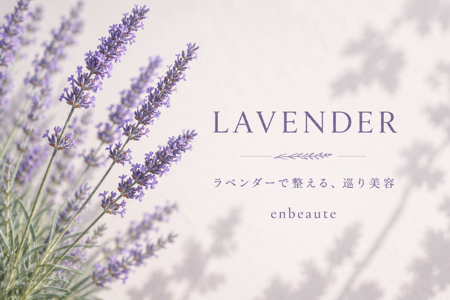 ラベンダーイメージ画像